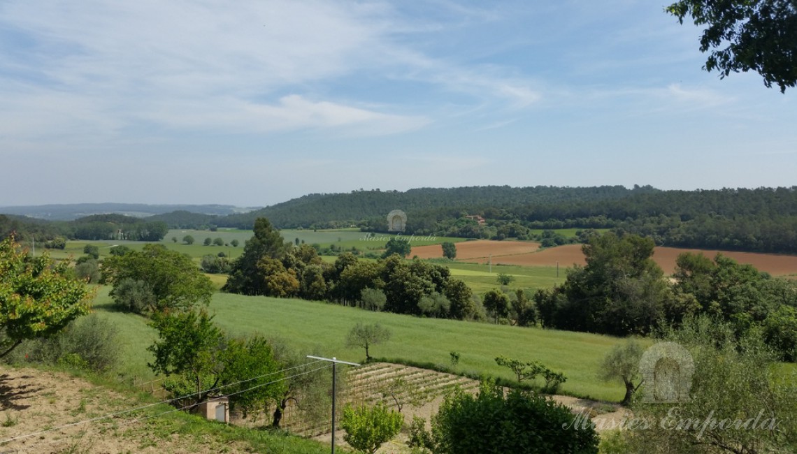Vistas 