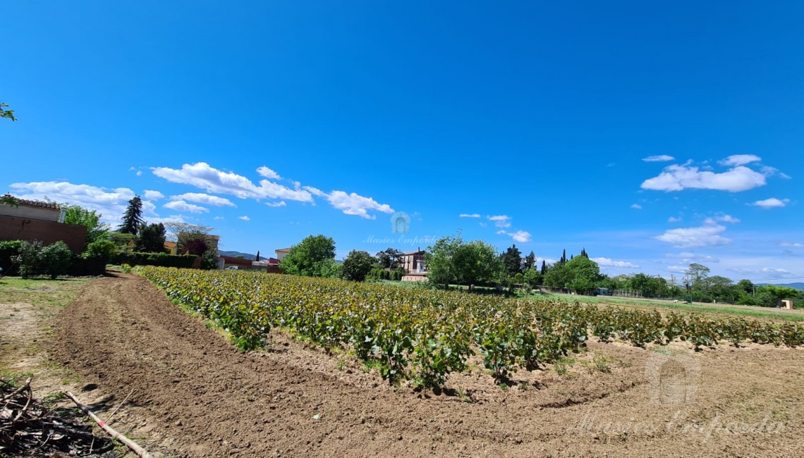 Vistas de la parcela de la propiedad 