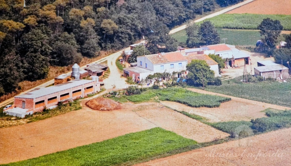 Vista de la propiedad