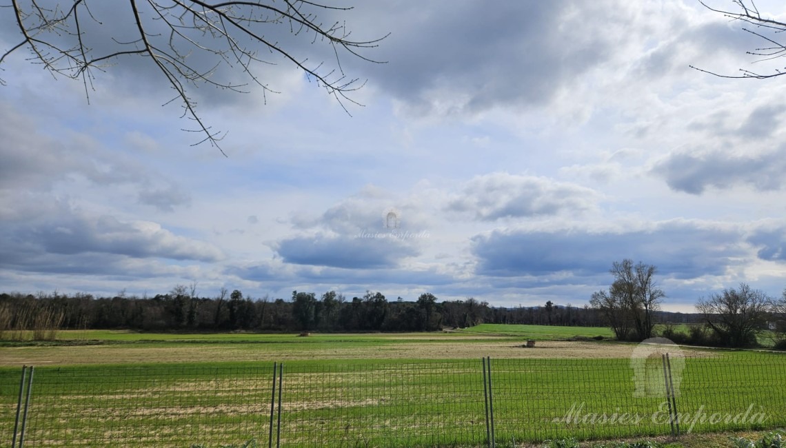Vista de los campos 