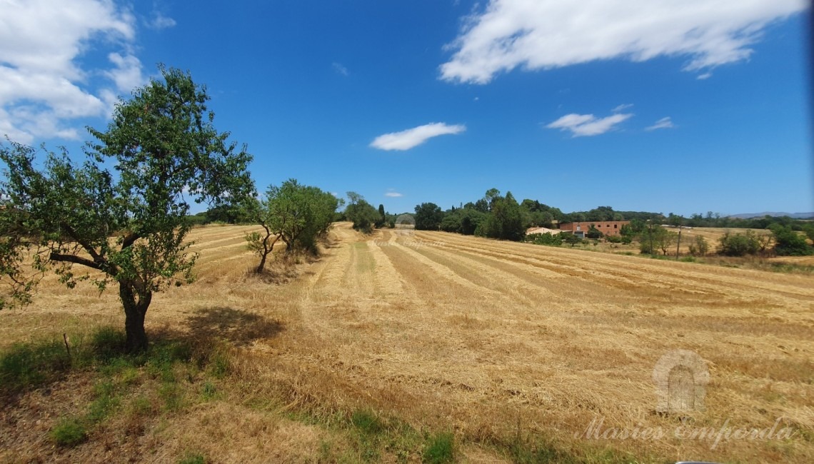 Vistas de la parcela de la propiedad Vistas de la parcela de la propiedad