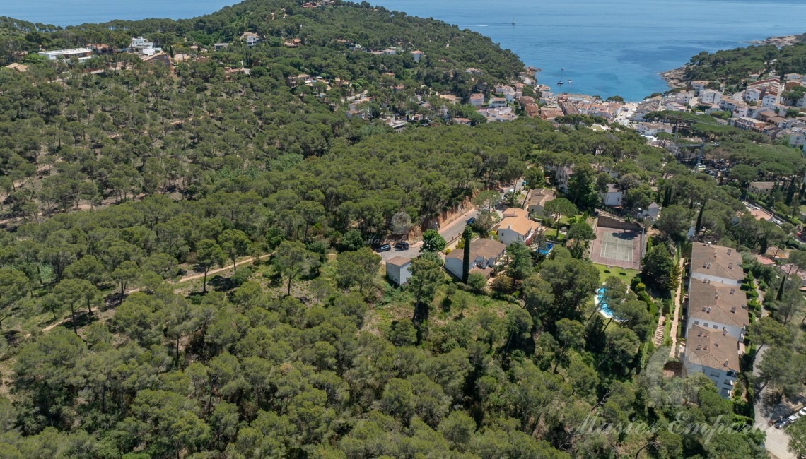 Vistas de la parcela 