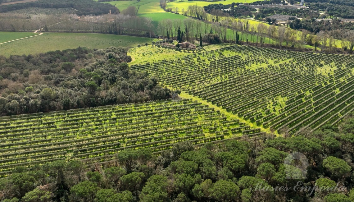 Vista de la masía y los campos de su alrededor