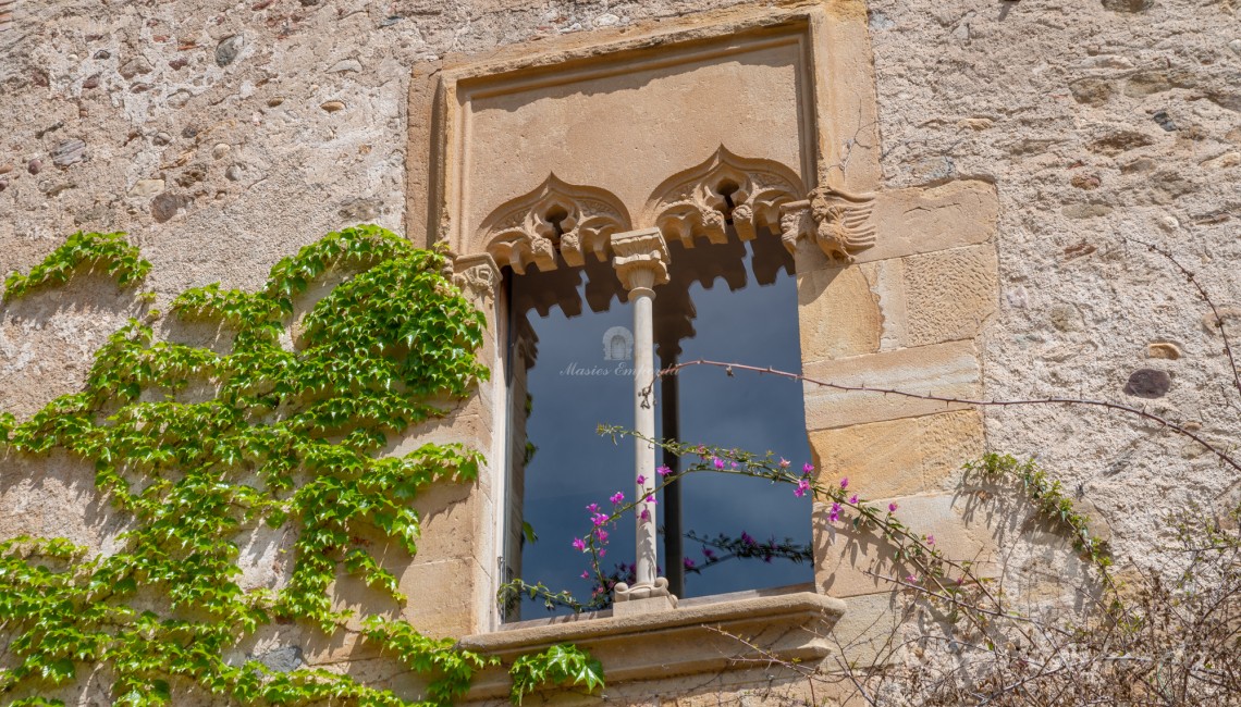 Ventana gótica de la fachada