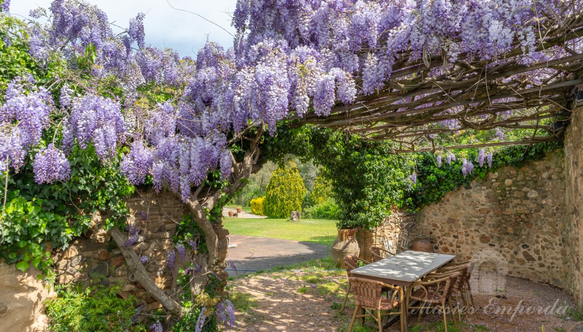 Pérgola del jardín 