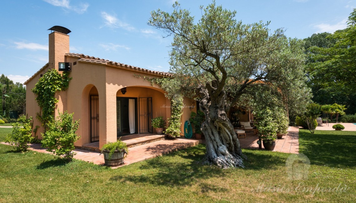 Vista de la casa y del jardín 