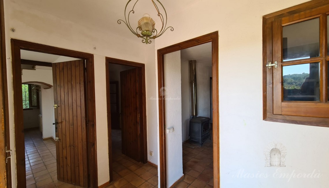 Distribuidor Distribuidor