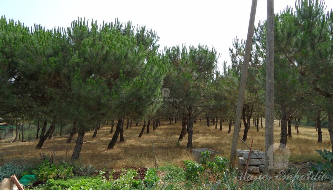 Campos de la propiedad