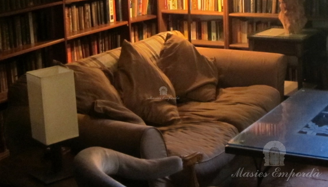Salón estar y biblioteca con chimenea 