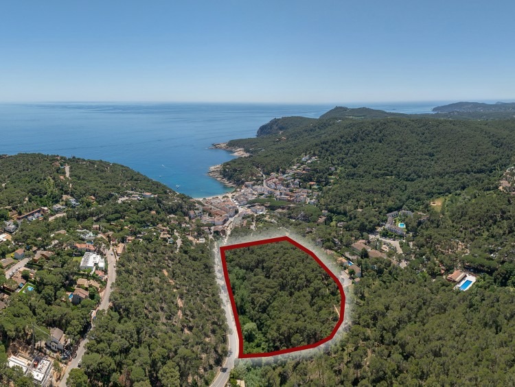 Vistas de la parcela 