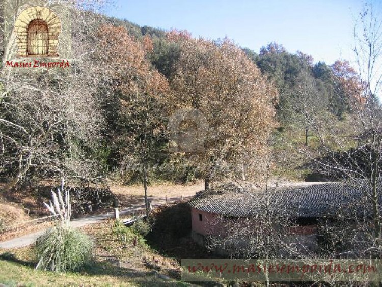 Camino de acceso a la propiedad marcado por los árboles en las cunetas y anexo de piedra a la derecha de la imagen 