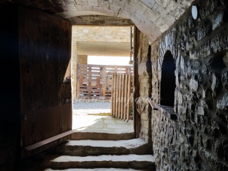Entrada 