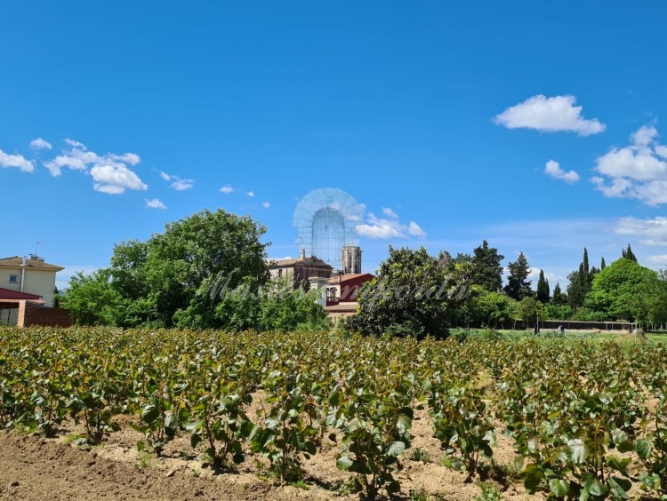 Vistas de la parcela de la propiedad 