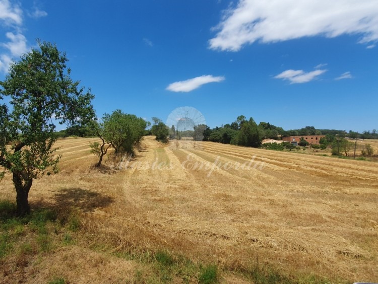 Vistas de la parcela de la propiedad Vistas de la parcela de la propiedad