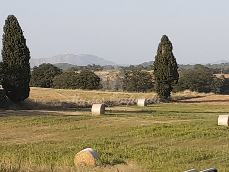 Vistas desde la casa Vistas desde la casa