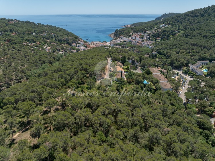 Vistas de la parcela 