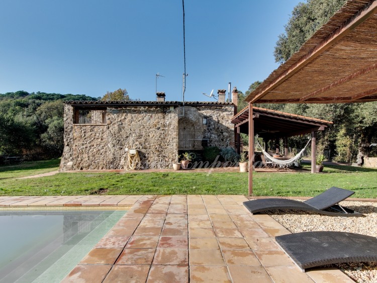 Zona de la piscina 