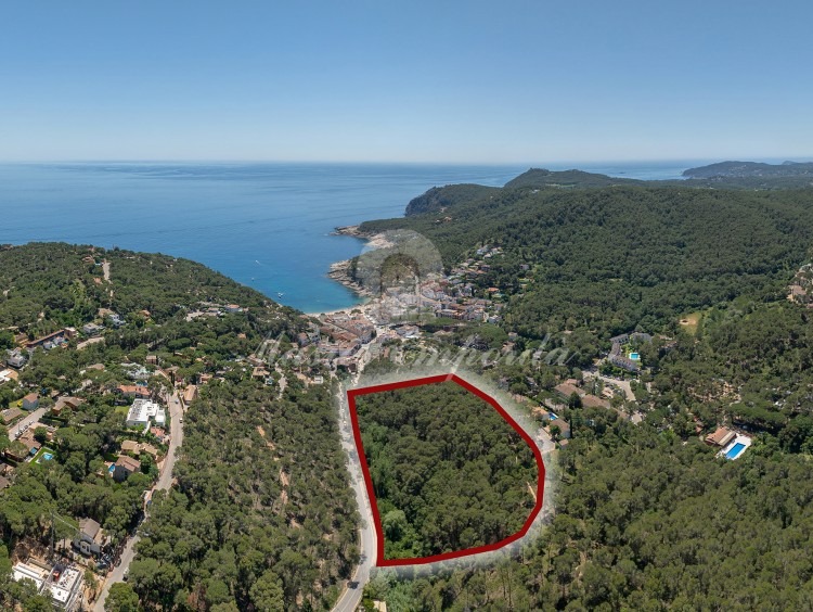 Vistas de la parcela 