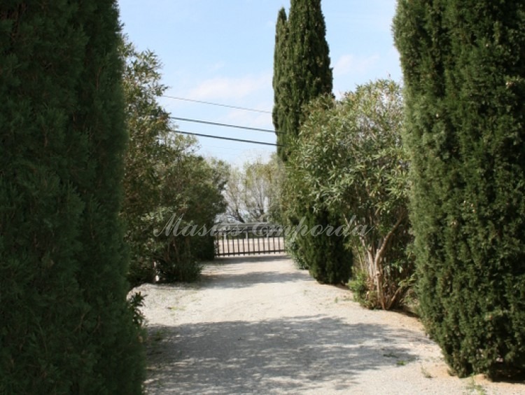 Detalle del camino de entrada a la casa presidido por cipreses en sus laterales