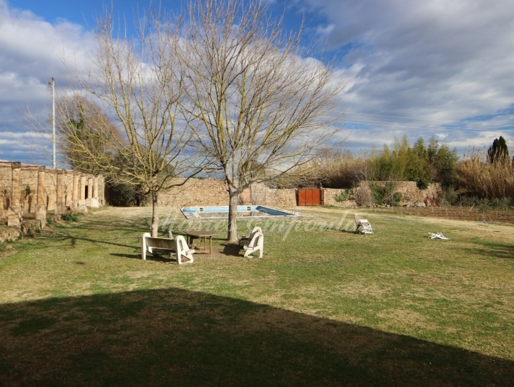 Piscina y jardín 