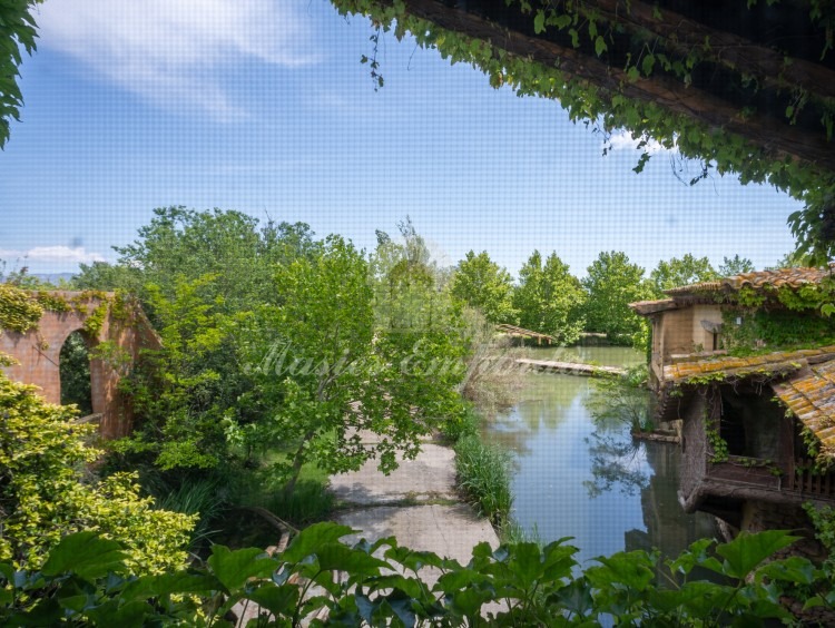 Vistas 