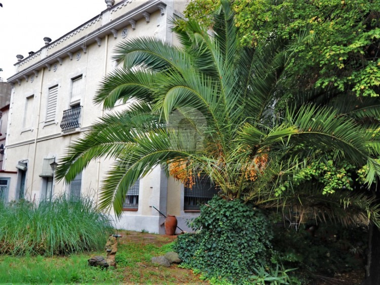 Fachada lateral de la casa con salida al jardín 