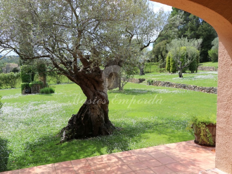 Terraza con salida directa desde la suite
